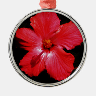 Roter Hibiskus Ornament Aus Metall