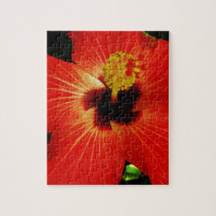 Roter Hibiskus Puzzle