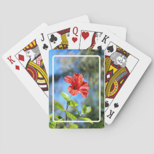 Roter Hibiskus Spielkarten