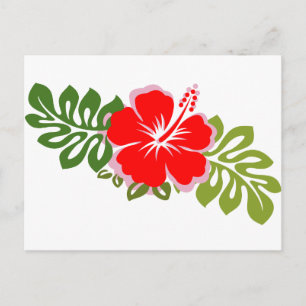 Roter Hibiskus und Blätter Postkarte
