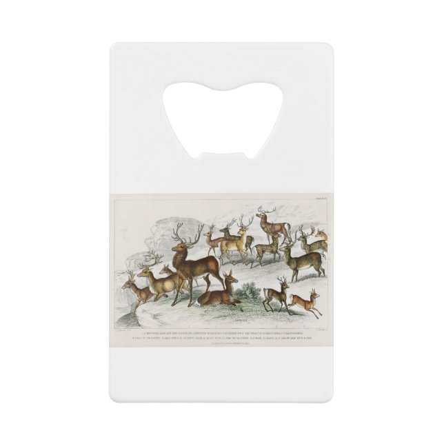 Roter Hirschhaar, Hind, Roebuck, Thibetianischer H Geldbeutel Flaschenöffner (Vorderseite)