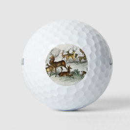Roter Hirschhaar, Hind, Roebuck, Thibetianischer H Golfball