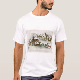 Roter Hirschhaar, Hind, Roebuck, Thibetianischer H T-Shirt