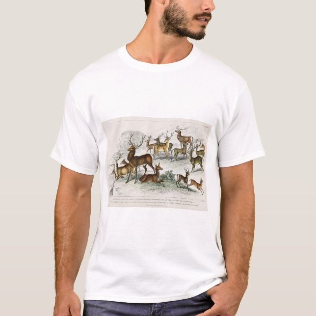 Roter Hirschhaar, Hind, Roebuck, Thibetianischer H T-Shirt (Vorderseite)