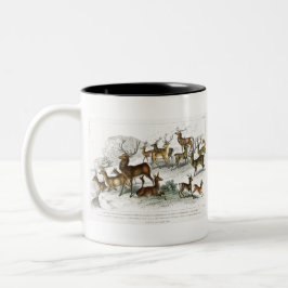 Roter Hirschhaar, Hind, Roebuck, Thibetianischer H Zweifarbige Tasse