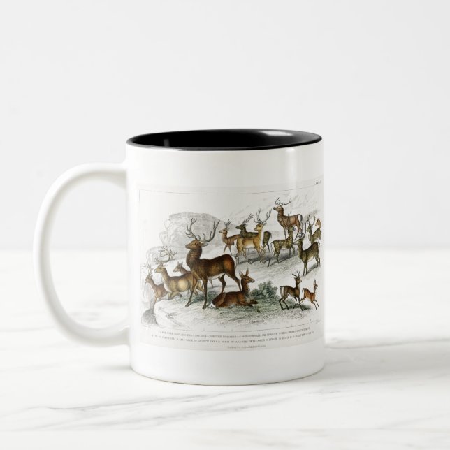 Roter Hirschhaar, Hind, Roebuck, Thibetianischer H Zweifarbige Tasse (Links)