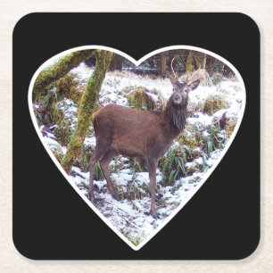 Roter Hirschstag im Schneepapier-Untersetzer Rechteckiger Pappuntersetzer