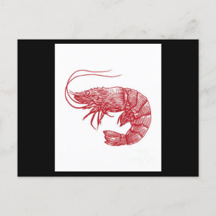 Roter Hummer Shrimp Postkarte