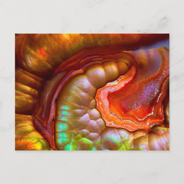 Roter irisierender Feueropal Postkarte (Vorderseite)