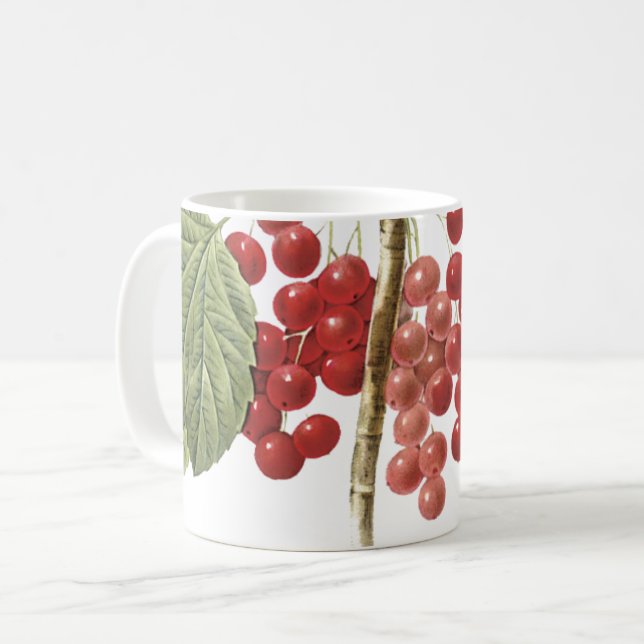 Roter Johannisbeere (Ribes rubrum) von Redouté Kaffeetasse (Vorderseite Links)