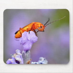 Roter Käfer Mousepad