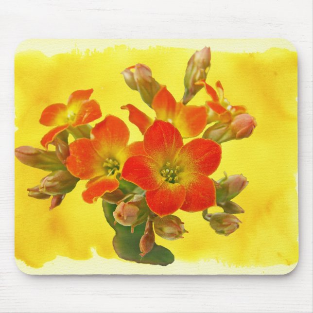 Roter Kalanchoe - Sukkulenter Sonnenschein Mousepad (Vorne)