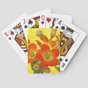 Roter Kalanchoe - Sukkulenter Sonnenschein Spielkarten