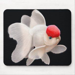 Roter Kappe Oranda Goldfisch Mousepad