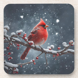 Roter Kardinal auf Baumzweig im Schnee Getränkeuntersetzer
