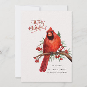 Roter Kardinal auf Beerenzweig Weihnachtskarte Feiertagskarte