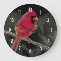 Roter Kardinal auf einer Baumzweigung