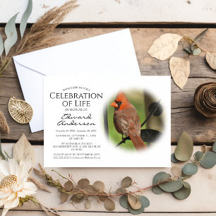 Roter Kardinal Beerdigung Feiern des Lebens Einladung