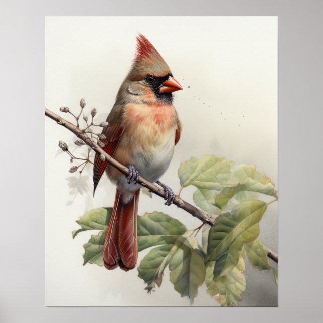 Roter Kardinal Bird Art Print Poster (Vorne)