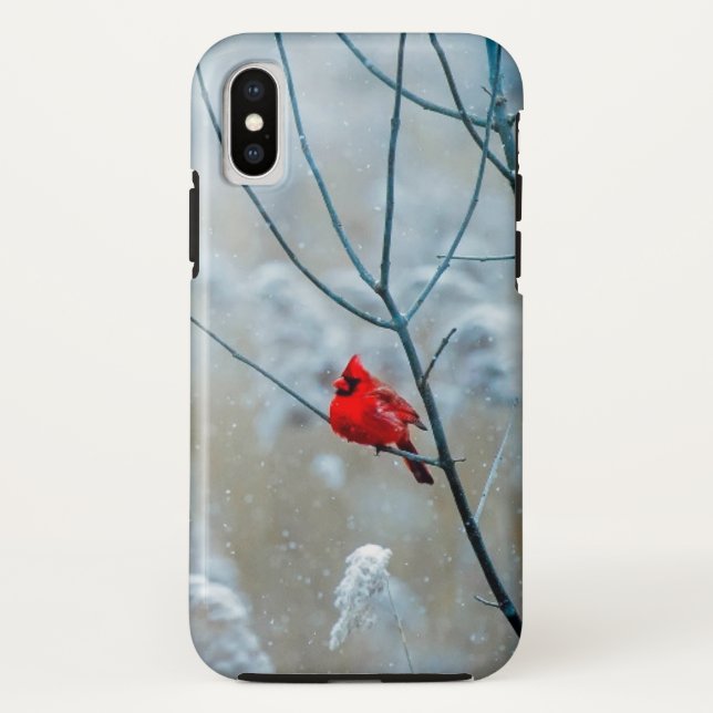 Roter Kardinal Bird in schöner schneebedeckter Fro Case-Mate iPhone Hülle (Rückseite)