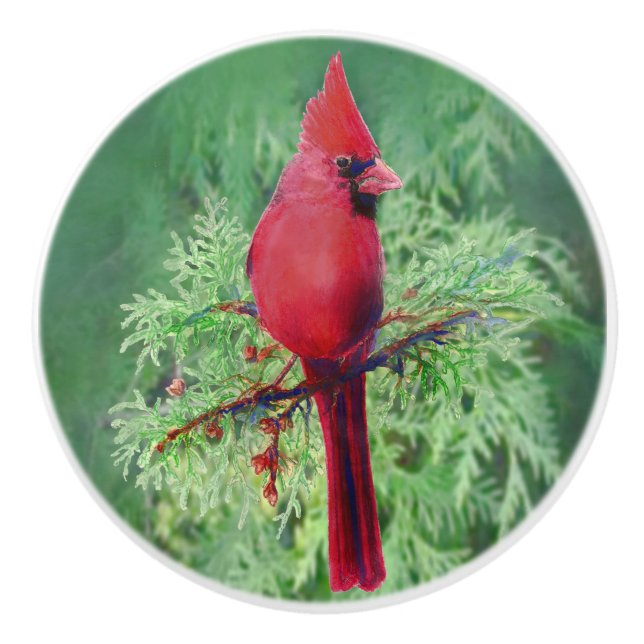 Roter Kardinal Bird Nature Kunst Keramikknauf (Vorderseite)