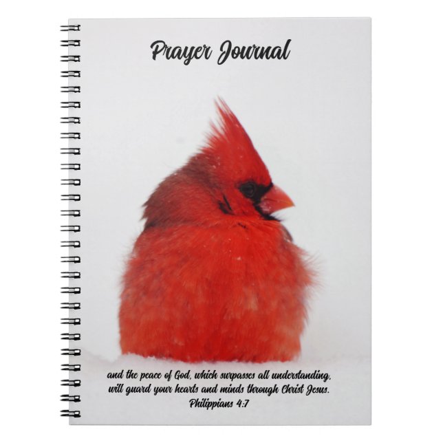 Roter Kardinal Bird Peace in Snow Prayer Journal Notizblock (Vorderseite)