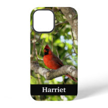 Roter Kardinal im Baum Personalisiert