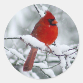 Roter Kardinal im Schnee-Aufkleber Runder Aufkleber