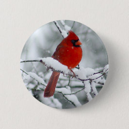 Roter Kardinal im Schnee-Knopf Button