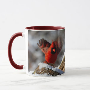 Roter Kardinal im Schnee Tasse