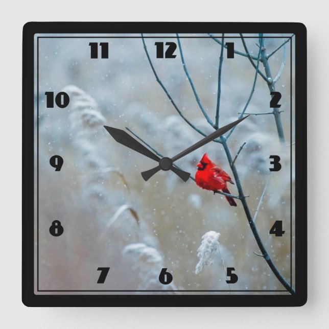 Roter Kardinal im Winter Natur Foto Weihnachten Quadratische Wanduhr (Vorderseite)