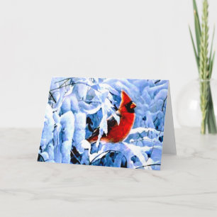 Roter Kardinal im Winterschnee Feiertagskarte