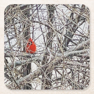 Roter Kardinal in einem Baum an einem schneeverweh Rechteckiger Pappuntersetzer
