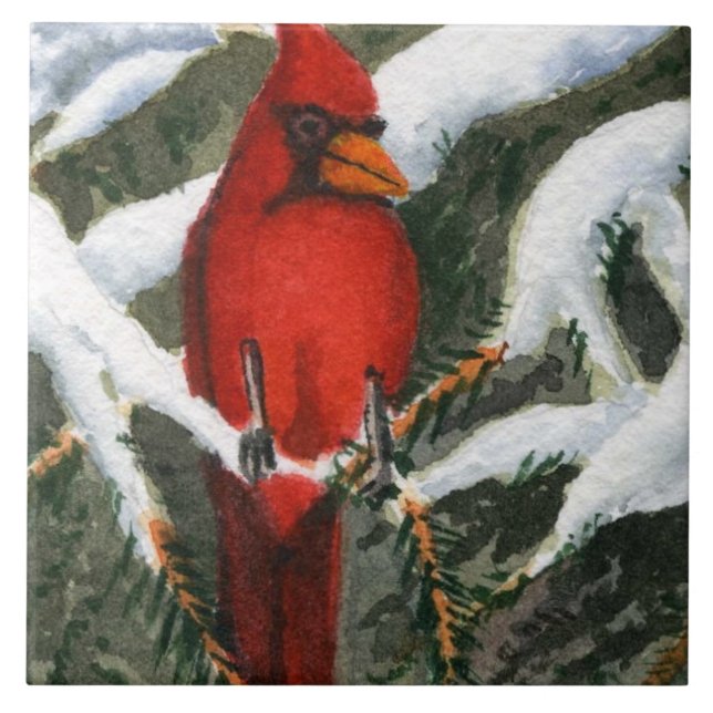 Roter Kardinal in schneebedeckten Kiefern Fliese (Vorderseite)