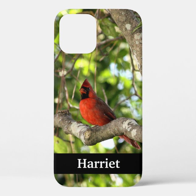 Roter Kardinal in Tree Personalisiert Case-Mate iPhone Hülle (Rückseite)