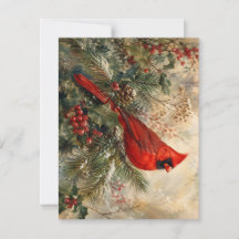 Roter Kardinal in winterlicher Immergrün-Weihnacht