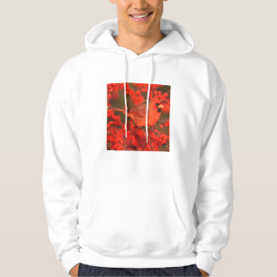 Roter Kardinal-Männchen, IL Hoodie