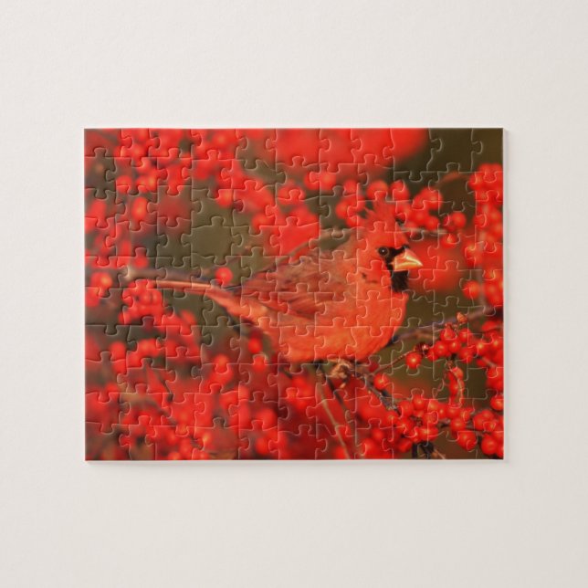 Roter Kardinal-Männchen, IL Puzzle (Horizontal)