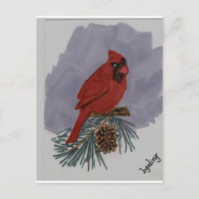 Roter Kardinal Postkarte (Vorderseite)