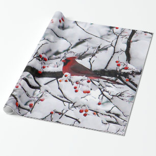 Roter Kardinal Schneebaum Foto Geschenkpapier