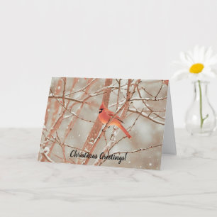 Roter Kardinal Snow Bird Weihnachtskarte Karte