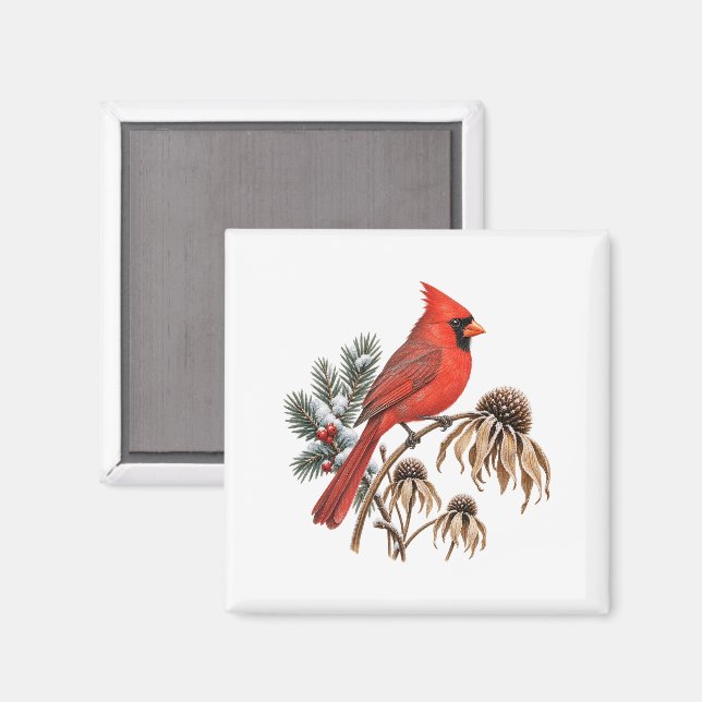 Roter Kardinal und schneebedeckte Samenstände Magnet (Vorderseite/Rückseite)