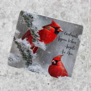 Roter Kardinal Vögel Engel sind in der Nähe Schnei Schneidebrett