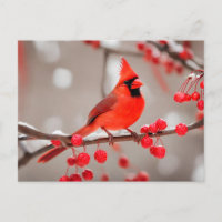 Roter Kardinal Vogel mit Waldbeeren