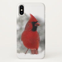 Roter Kardinals-Vogel iPhone X Kasten