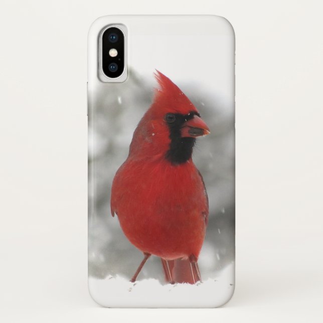 Roter Kardinals-Vogel iPhone X Kasten Case-Mate iPhone Hülle (Rückseite)