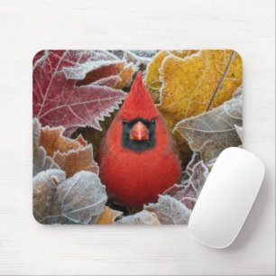 Roter Kardinalvogel in frostigen Herbstblättern Mousepad