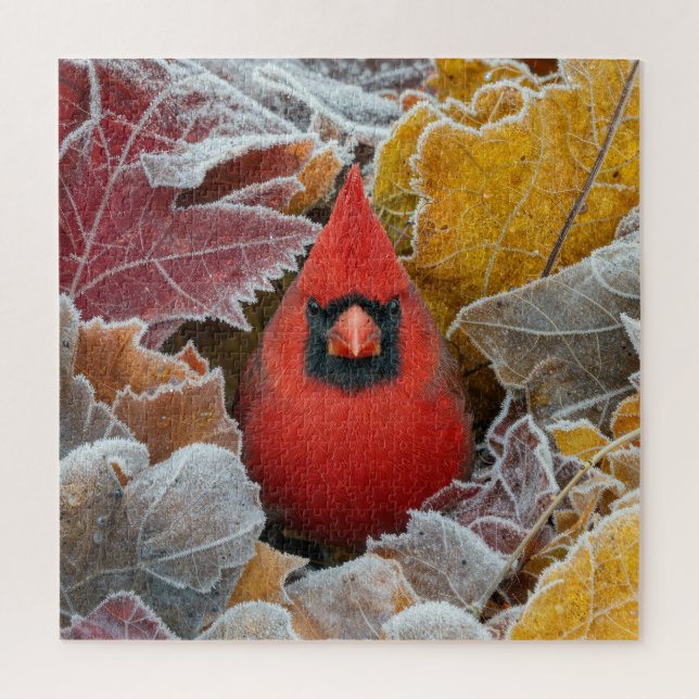 Roter Kardinalvogel in frostigen Herbstblättern Puzzle (Vertikal)