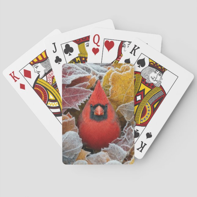 Roter Kardinalvogel in frostigen Herbstblättern Spielkarten (Rückseite)
