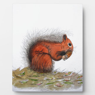 Roter Kiefer Fotoplatte